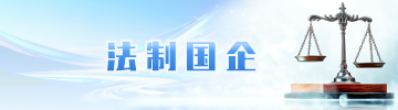 法治国企