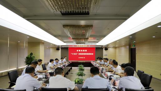 威廉希尔中文网站集团召开“十五五”发展战略规划座谈会